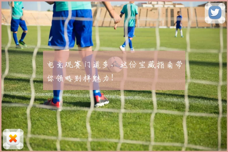 电竞观赛门道多，这份宝藏指南带你领略别样魅力！