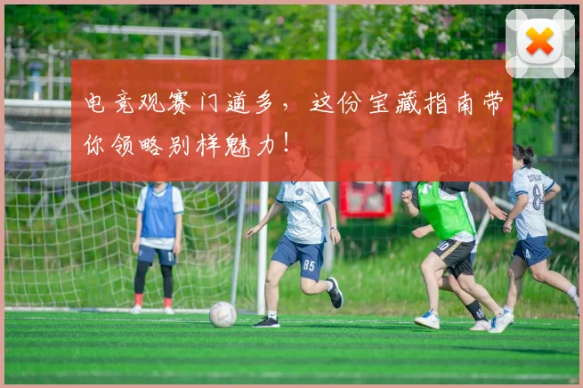 电竞观赛门道多，这份宝藏指南带你领略别样魅力！