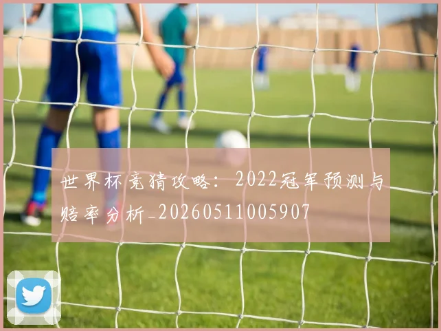 世界杯竞猜攻略：2022冠军预测与赔率分析_20260511005907